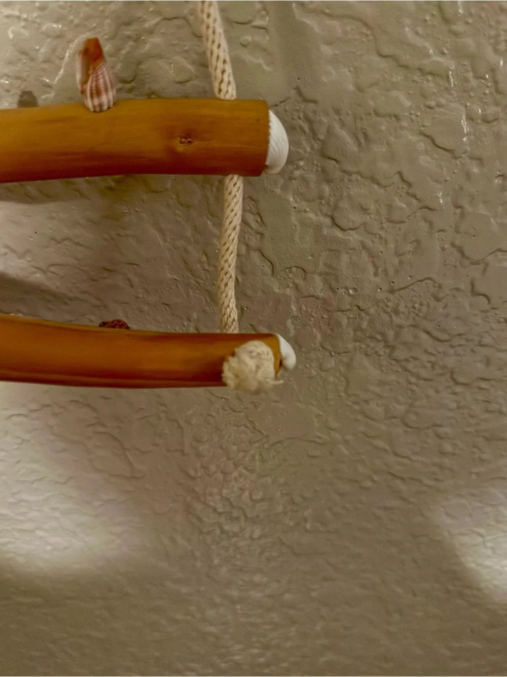 Driftwood And Rope Wall Hanging With Seashell Hooks For Jewelry